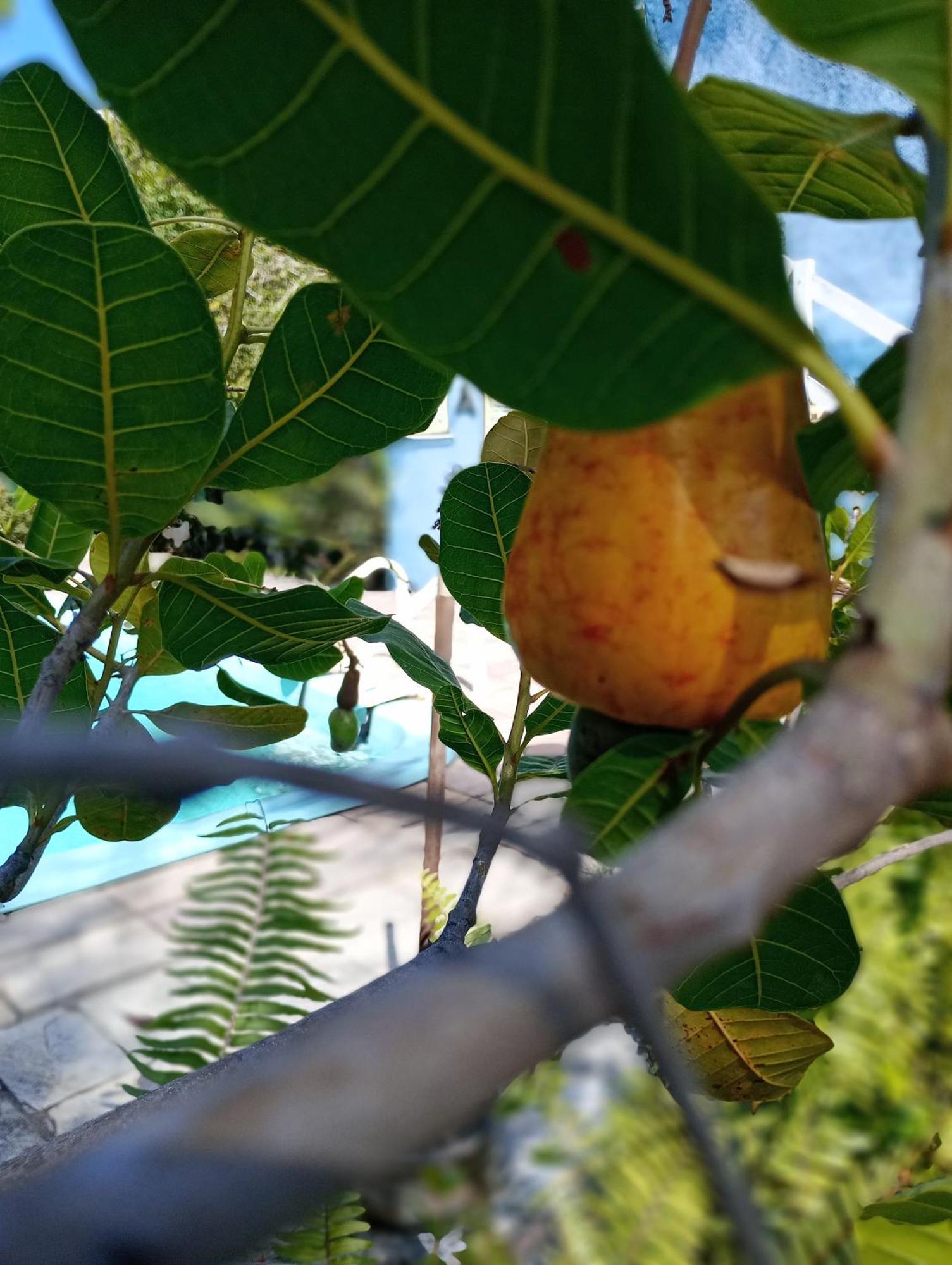 Chales Caicara Serrambi Pôrto das Galinhas 외부 사진